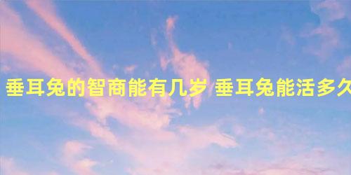 垂耳兔的智商能有几岁 垂耳兔能活多久